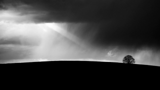 Shooting Challenge: Black & White